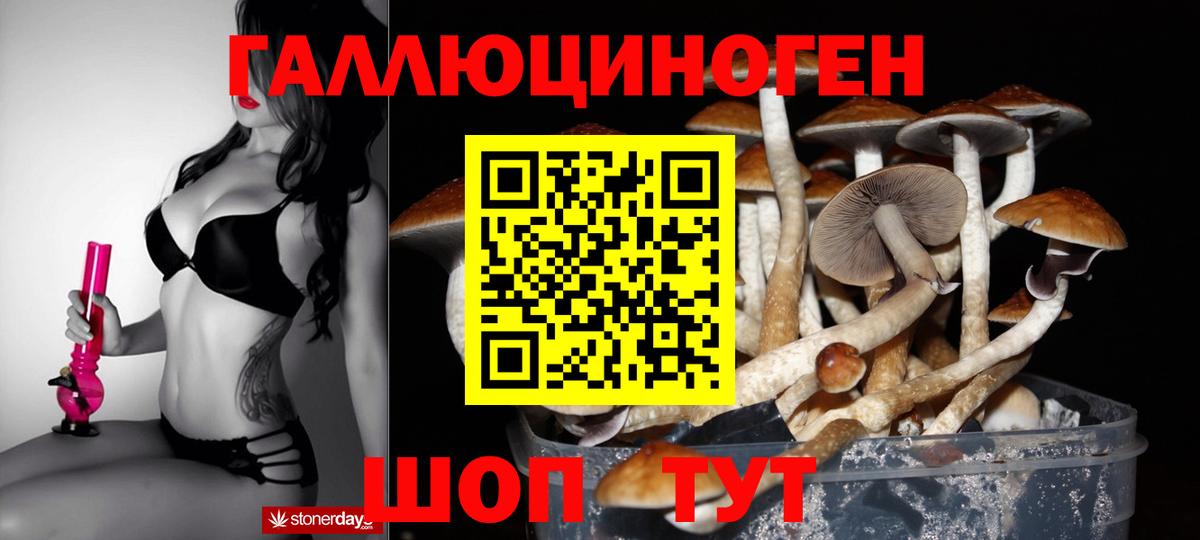 Котельники  Псилоцибиновые грибы Psilocybine cubensis  Вход с VPN 